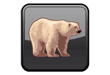 EisBär Logo